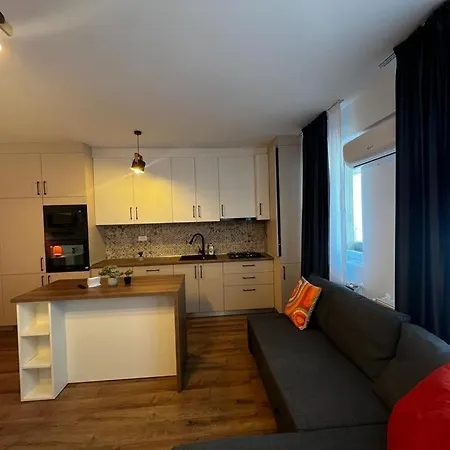 Cozy Deluxe Apartments In Centre Of Historical יאשי מראה חיצוני תמונה