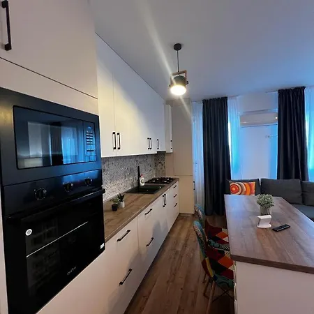 Cozy Deluxe Apartments In Centre Of Historical יאשי מראה חיצוני תמונה