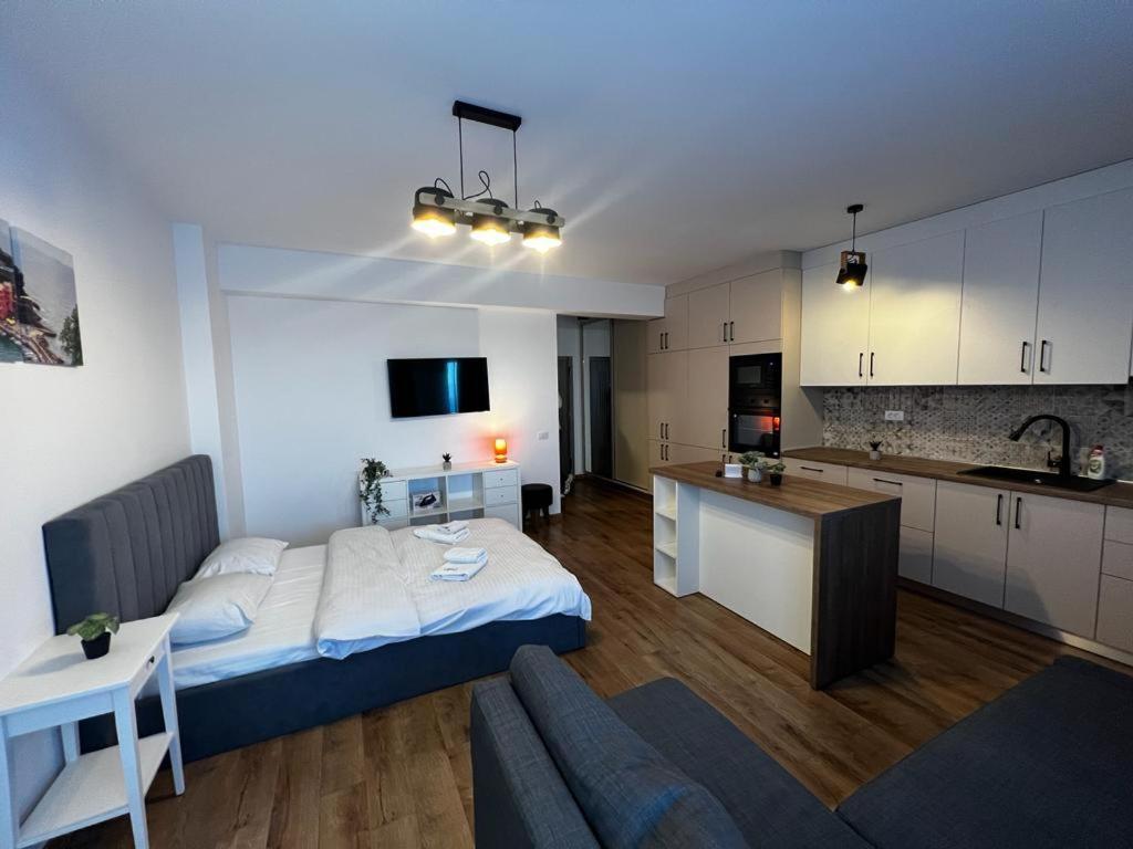 Appartement Cozy Deluxe In Centre Of Historical Iasi